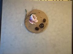 -淮扬韵.淮扬味道