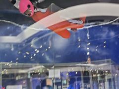 -飞行家太空体验馆(祥云小镇店)