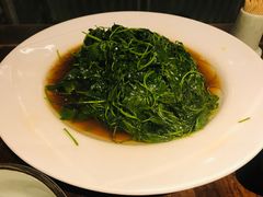 酒香金花菜-鱼食饭稻·苏浙土菜17年老馆子(平江路店)