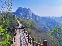-大岭沟猕猴桃谷风景区