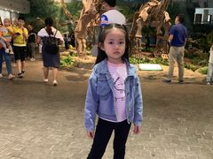 景点-自贡恐龙博物馆