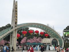 -南山植物园
