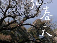 -华山风景名胜区