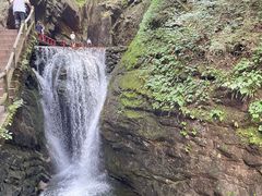 -牛背梁国家森林公园