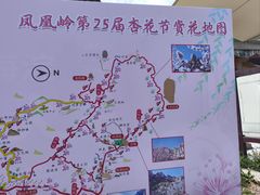 -北京凤凰岭