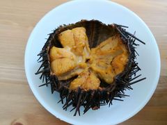 -海胆小馆(东北水饺·春柳店)