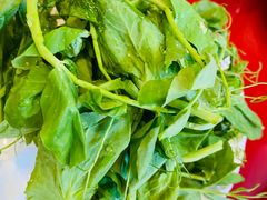 -四川简阳羊肉汤火锅(望花路西里店)