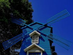 -铁山坪森林公园