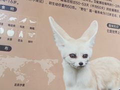 -武汉动物园