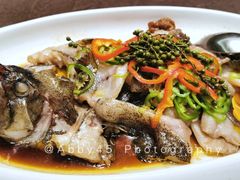 -绿岛国际酒店·海鲜酒楼(八七路店)