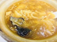 招牌花胶海参煲仔-添發碗仔翅美食