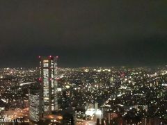 -东京都厅舍