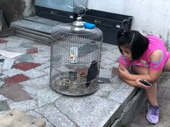 -姥家大锅台水库渔家