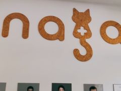 -纳吉亚猫专科动物医院·北北分院