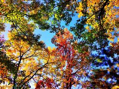 -天津盘山风景名胜区