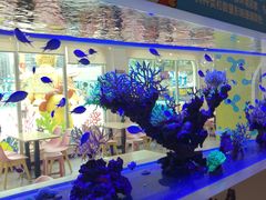 -海合安成都极地海洋公园