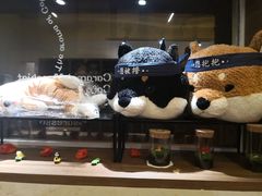 -北京国子监胡同