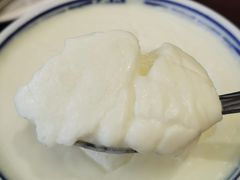 顺德双皮奶-民信老铺(双皮奶博物馆店)