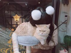 -猫和宫(六道口店)