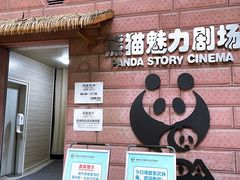 游乐设施-成都大熊猫繁育研究基地