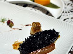 葱烤刺参配厚感鱼唇-西郊5号·Maggie 5