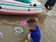 -碧海金沙