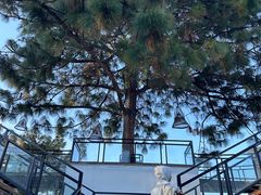 -云禾壹海景庄园餐厅