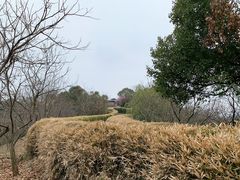 -天目湖涵田度假村