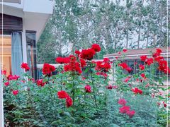 -春晖园度假酒店温泉