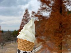 -神户市立六甲山牧场