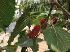 -邹记·美食(斗门店)