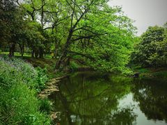 -无锡梅园公园