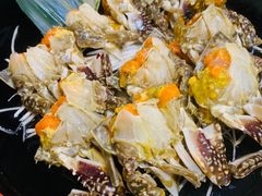 -渔娘渔家丹东海鲜(东直门店)