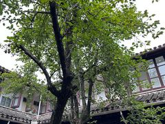 -西园戒幢律寺