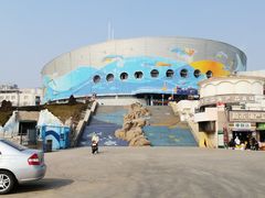 -海合安青岛极地海洋公园