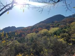 -阳台山自然风景区