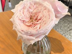 -FreshCo鲜途·西厨(大良店)