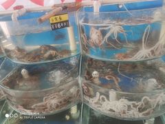 -叶存利海鲜大馅饺子(东戴河止锚湾店)