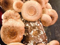 -谭鸭血老火锅(漳州路店)