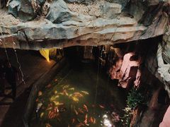 -正佳雨林生态植物园