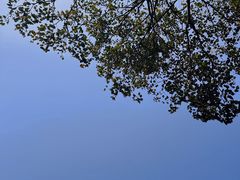 -火炉山森林公园