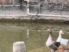 -上海千禧海鸥大酒店