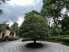 -青城山六善酒店·紫氣園中餐厅
