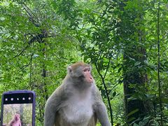 -黔灵山公园