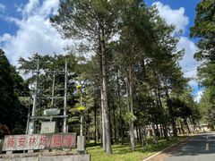 -海南热带雨林国家公园吊罗山景区