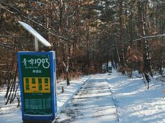 -帽儿山国家森林公园