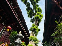 -叩齿古寺