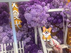 -大食代美食广场(上海中心店)