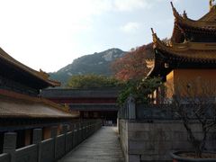-普陀山风景名胜区-法雨禅寺