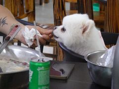 -周良天山牛杂城(天山路总店)